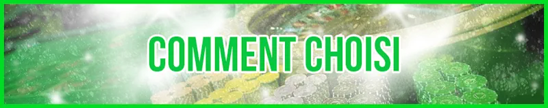 Comment Choisir banner
