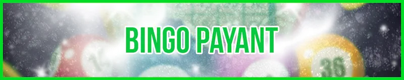 bingo payant banner