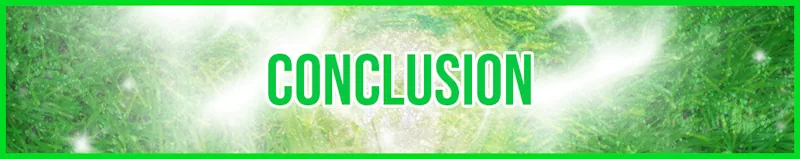 conclusion banner