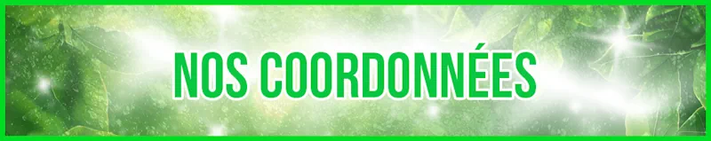 nos coordonnees banner