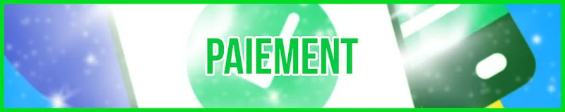 paiement banner