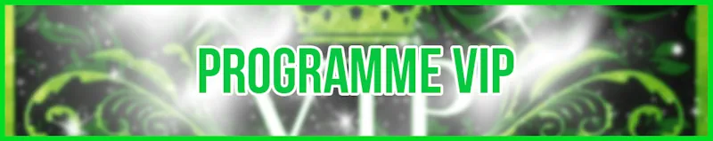 Programme VIP banner