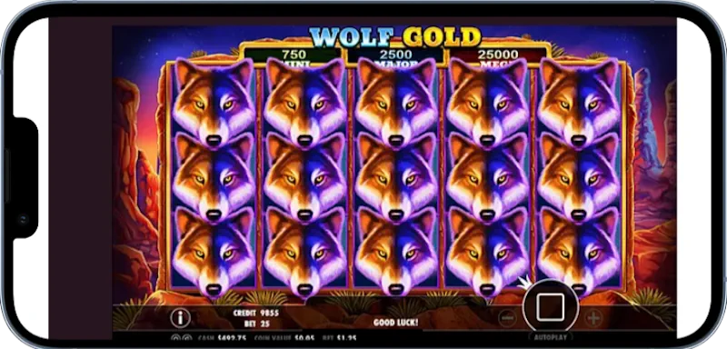 appp wolf gold screenshot